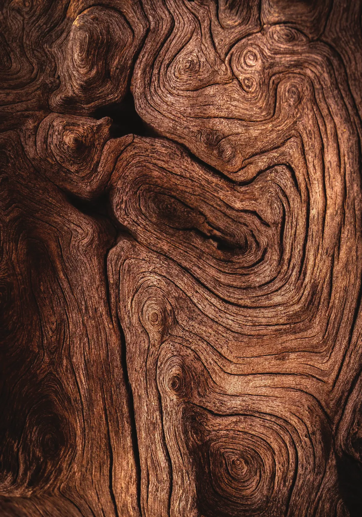 Close view of a rich burl wood grain