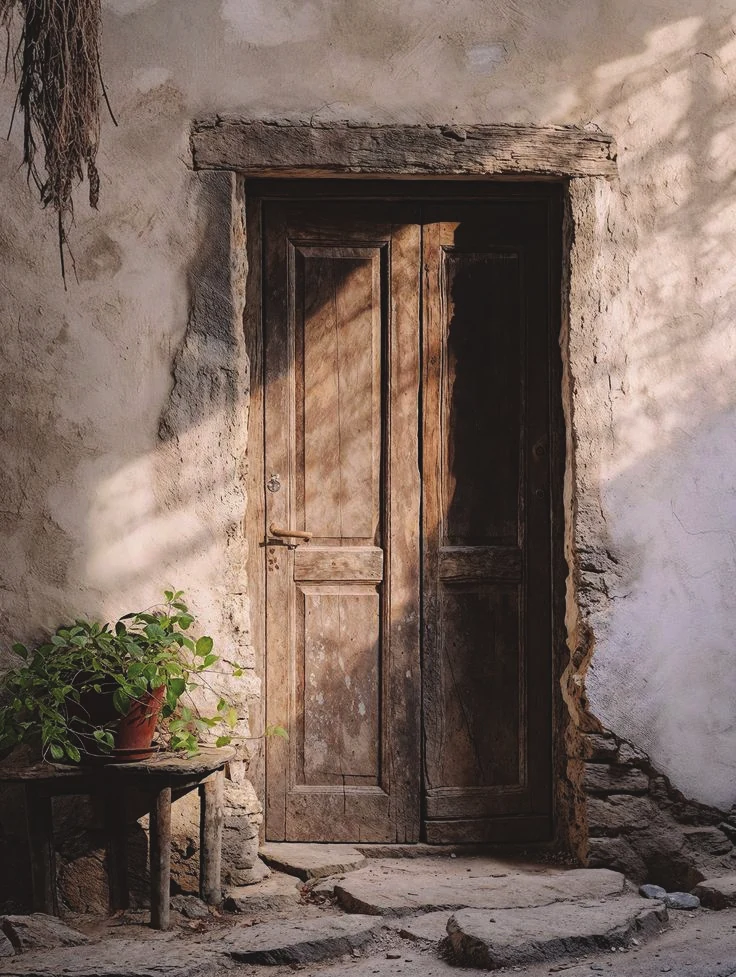 A weathered wooden door beside a potted plant